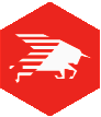 ikona